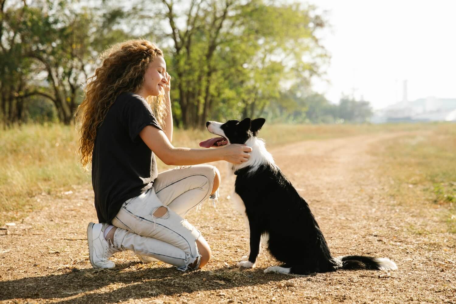 Puppy Training POV: The 1st thing to teach your dog isn't 'sit' or 'stay'