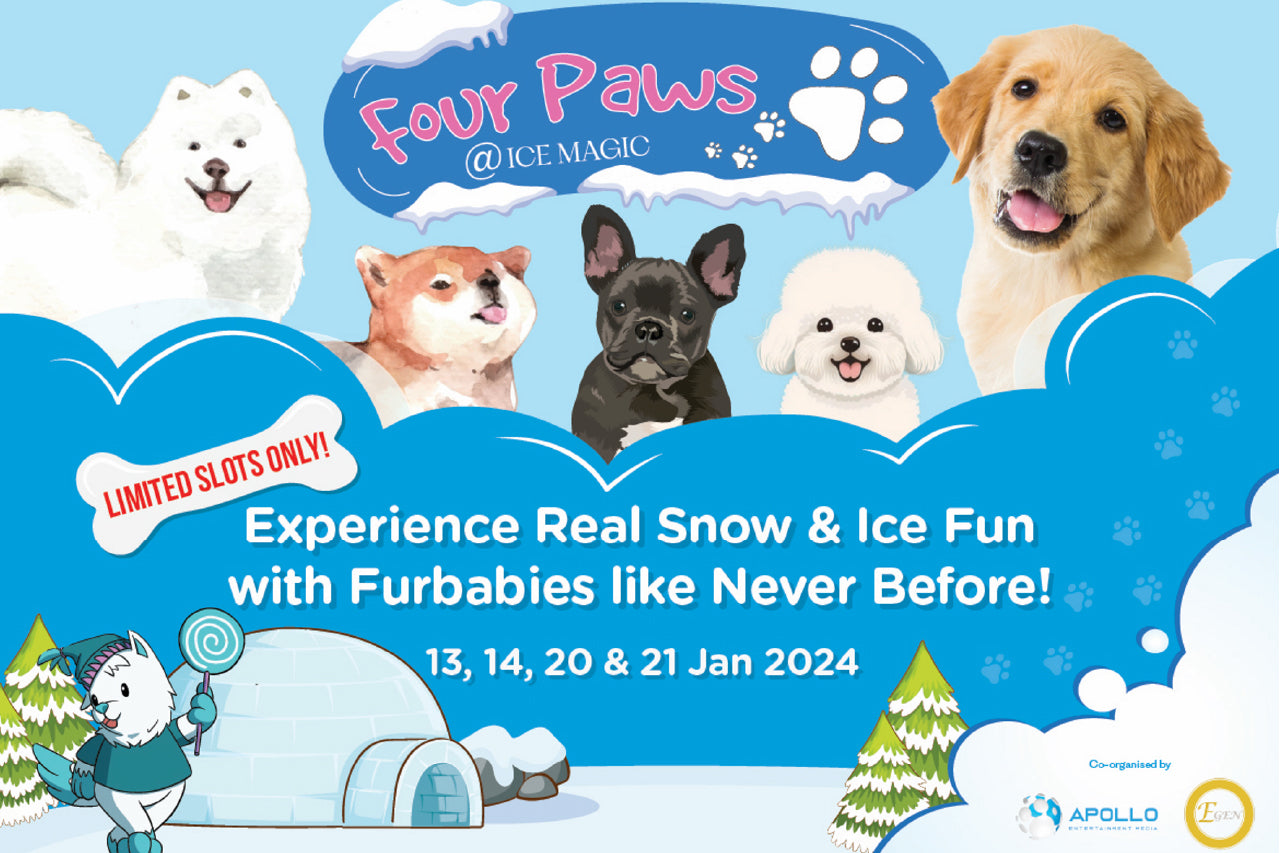 Event: 4 Paws @ Ice Magic, Singapore’s First-ever Dog Winter Event
