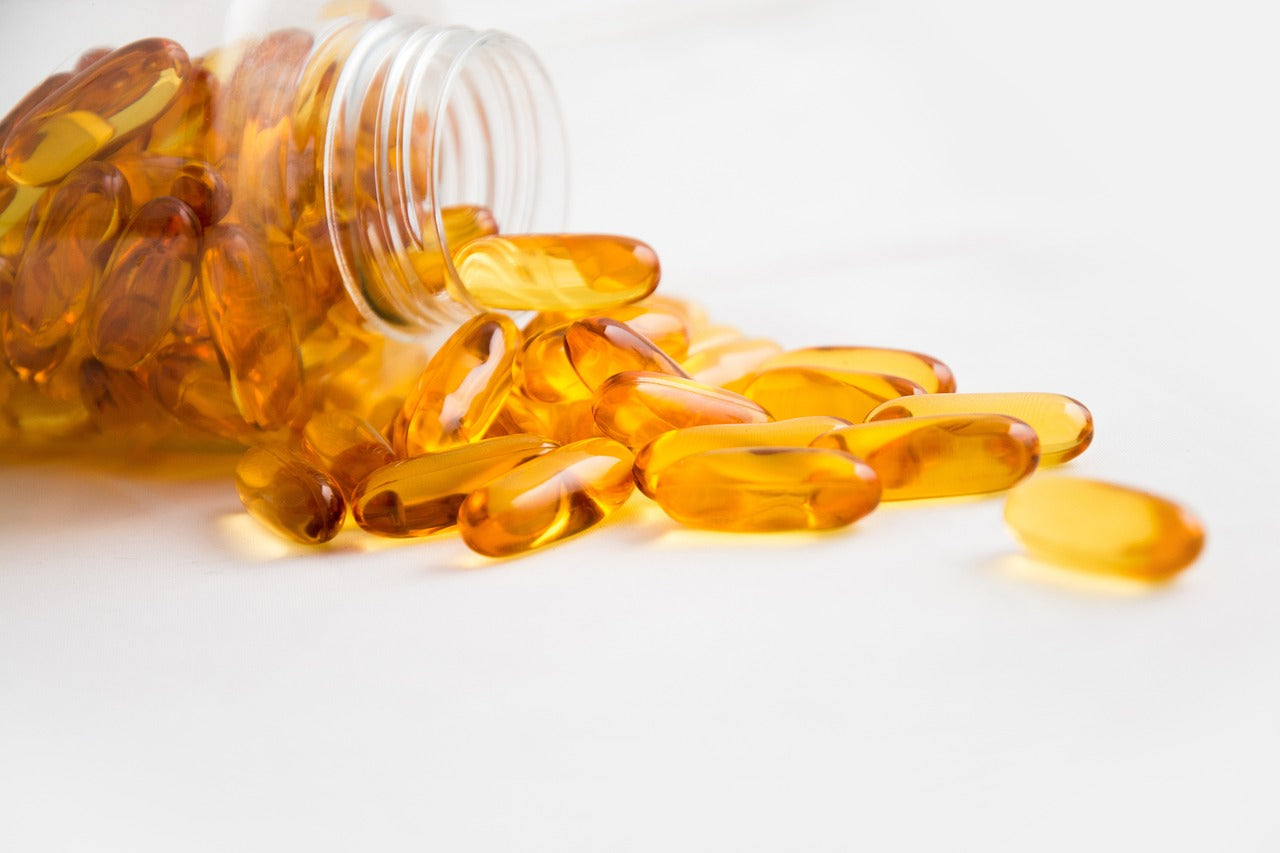 Omega 3 Supplements for Dogs: Guide to What to Buy