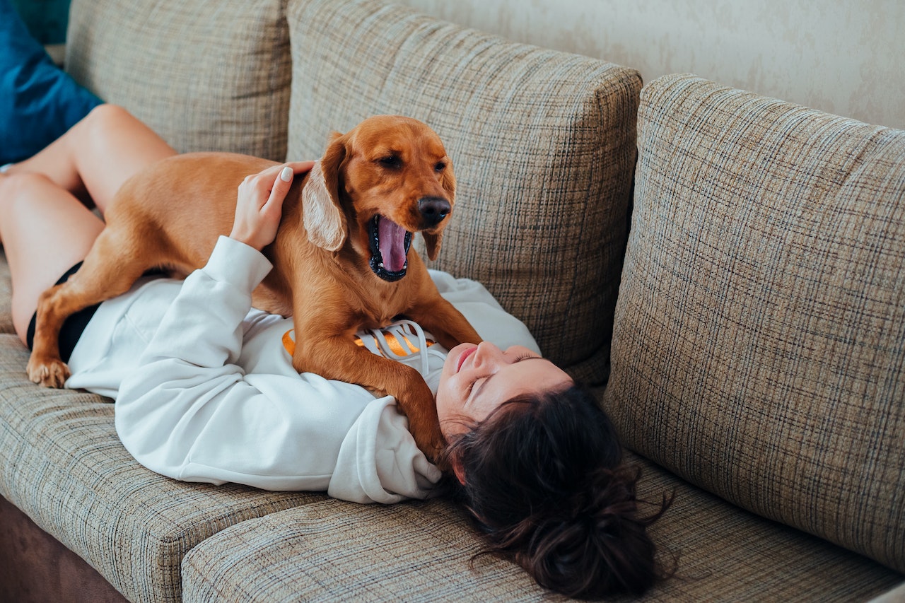 Bad Dog Breath: 6 Things You Can Do to Get Rid of It