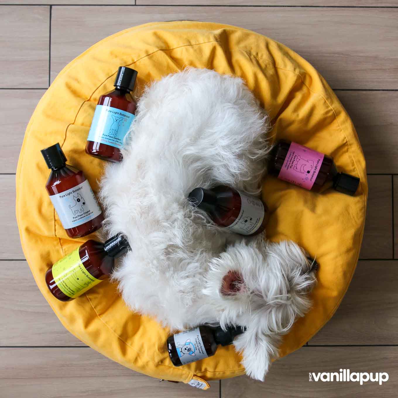 dog-skin-coat