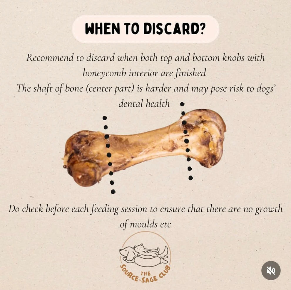The Source-Sage Club Large Ostrich Bone
