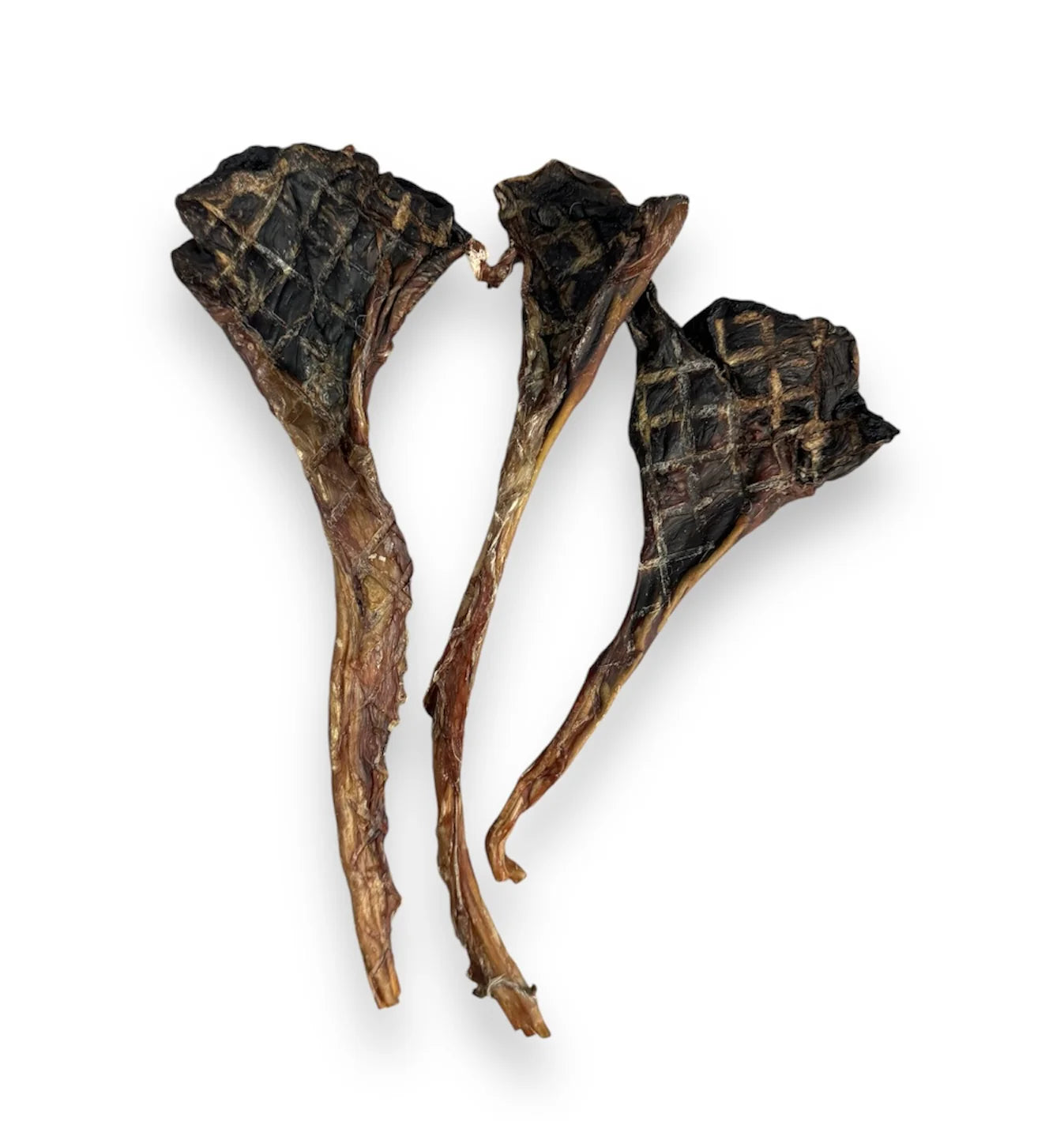 The Source-Sage Club Kangaroo Leg Tendon Pop