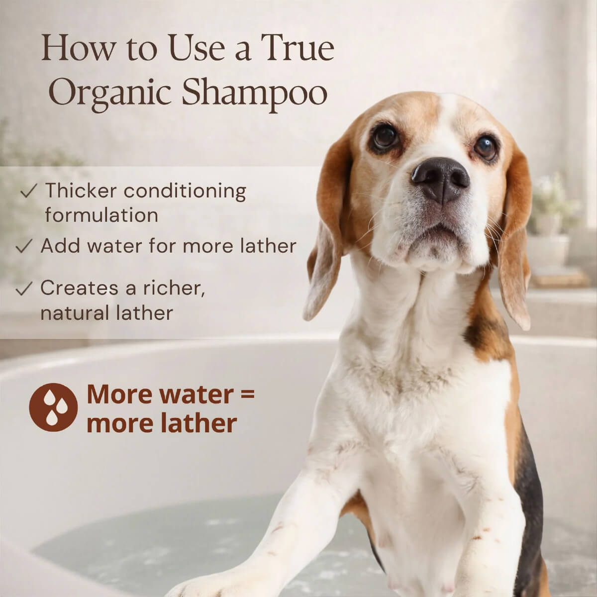 4-Legger Organic Cedar, Peppermint & Eucalyptus Conditioning Shampoo
