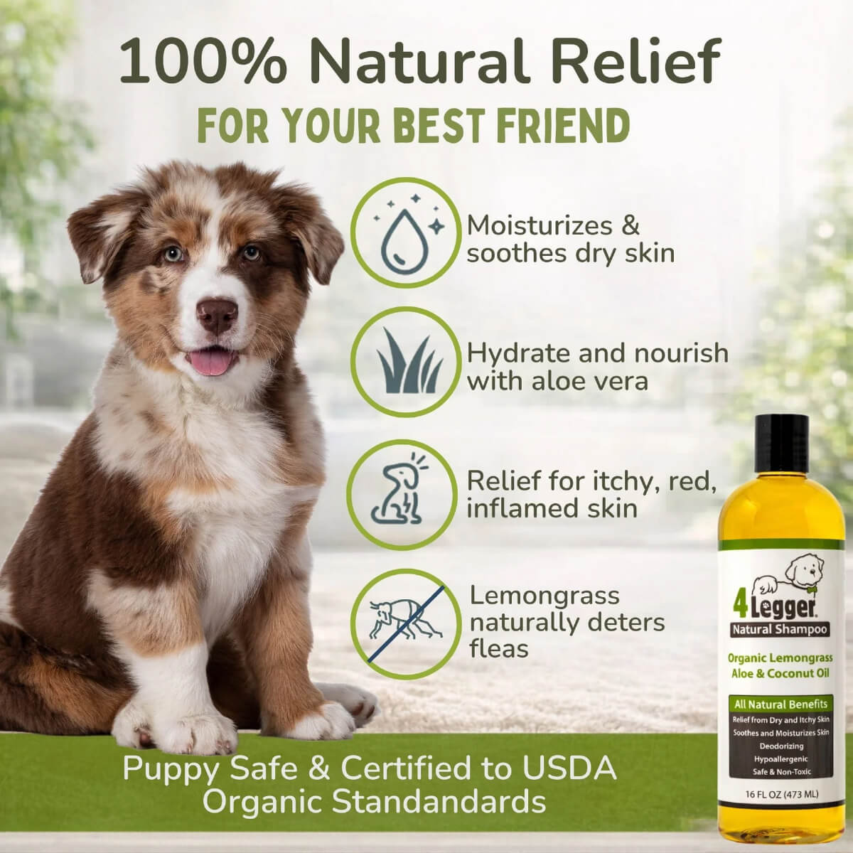 4-Legger Organic Lemongrass and Aloe Hypoallergenic Shampoo
