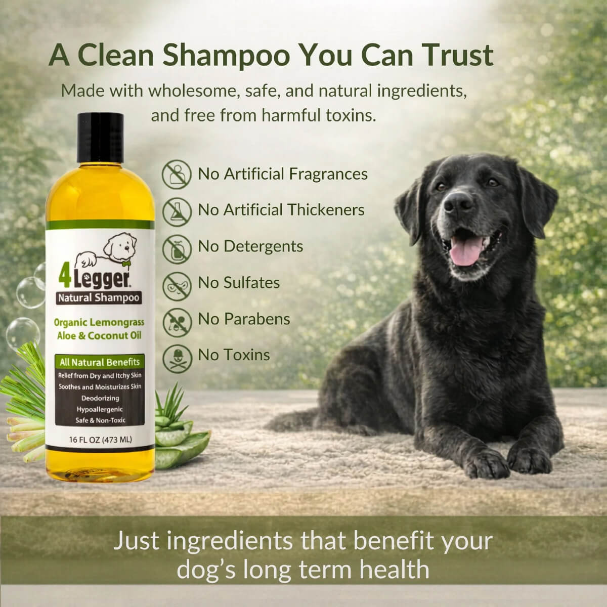 4-Legger Organic Lemongrass and Aloe Hypoallergenic Shampoo