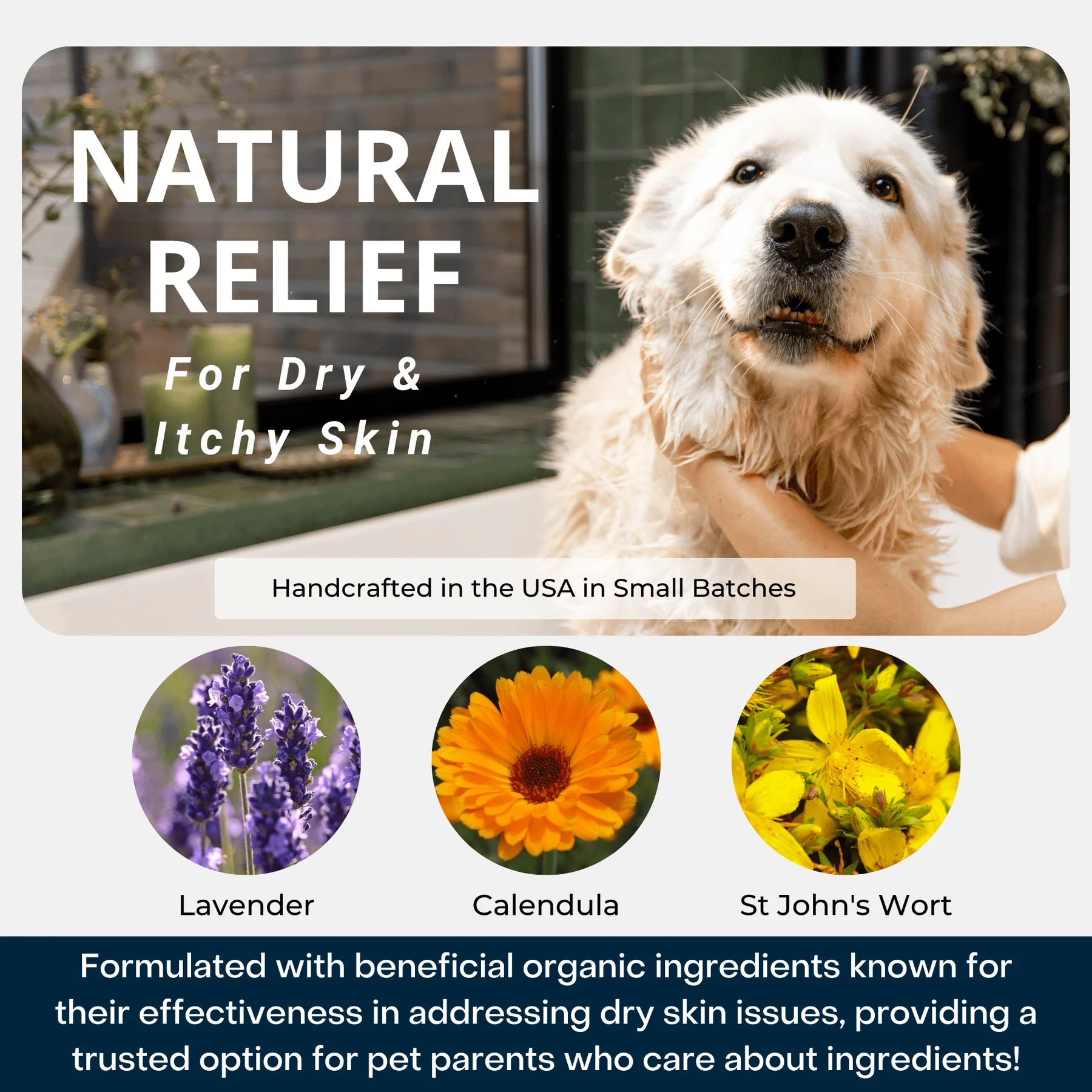 4-Legger Calming Shampoo | Lavender With Calendula and St. John’s Wort