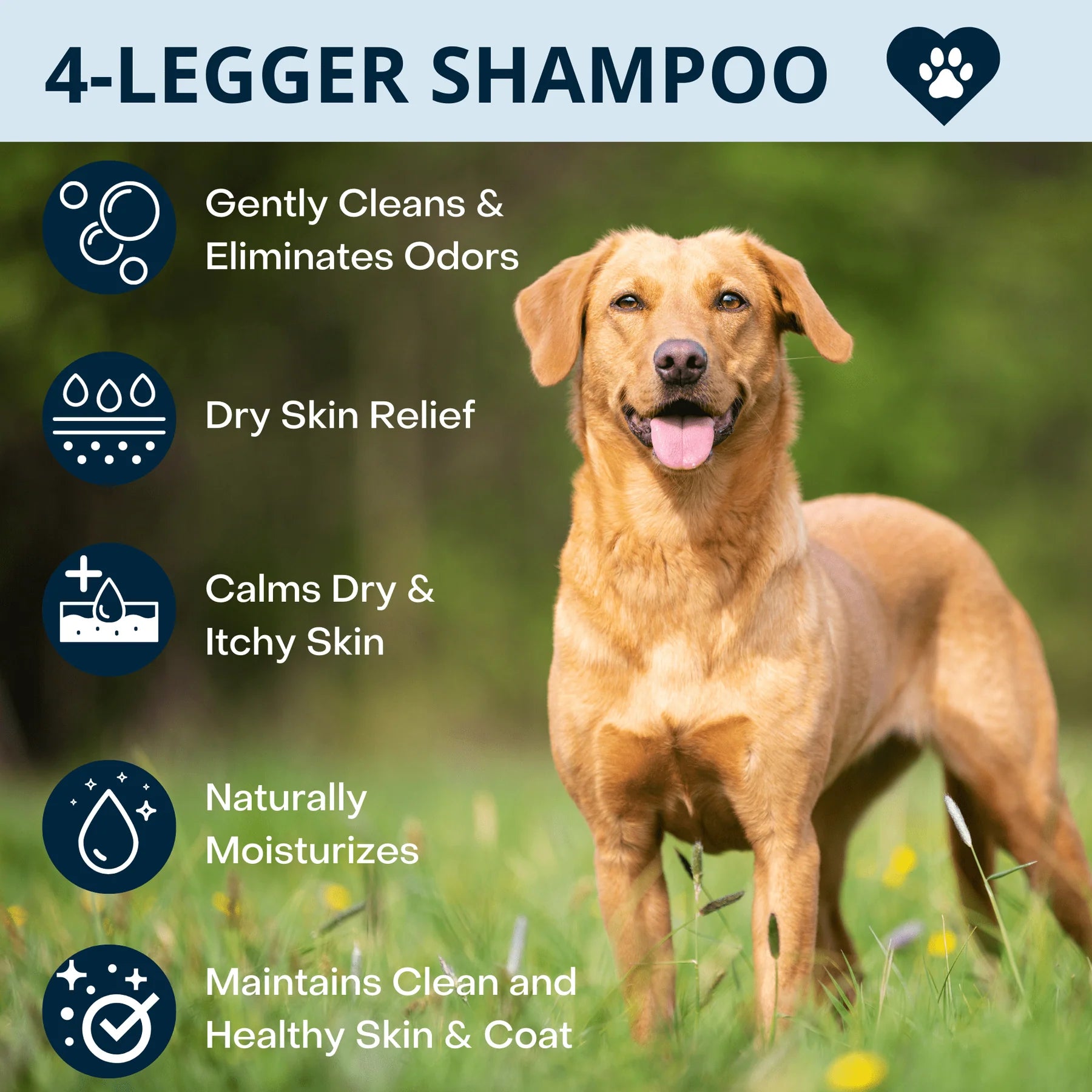 4-Legger Calming Shampoo | Lavender With Calendula and St. John’s Wort