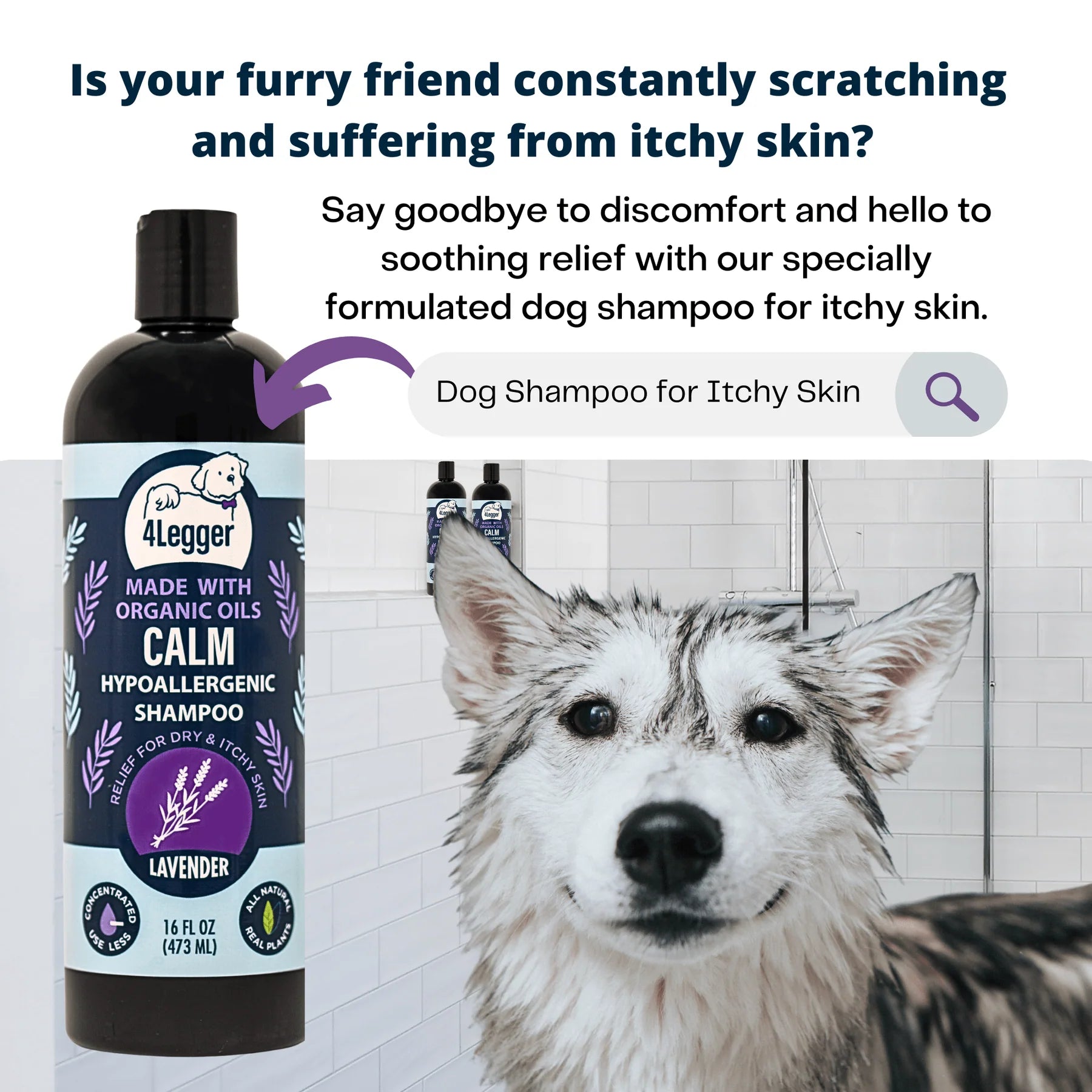 4-Legger Calming Shampoo | Lavender With Calendula and St. John’s Wort