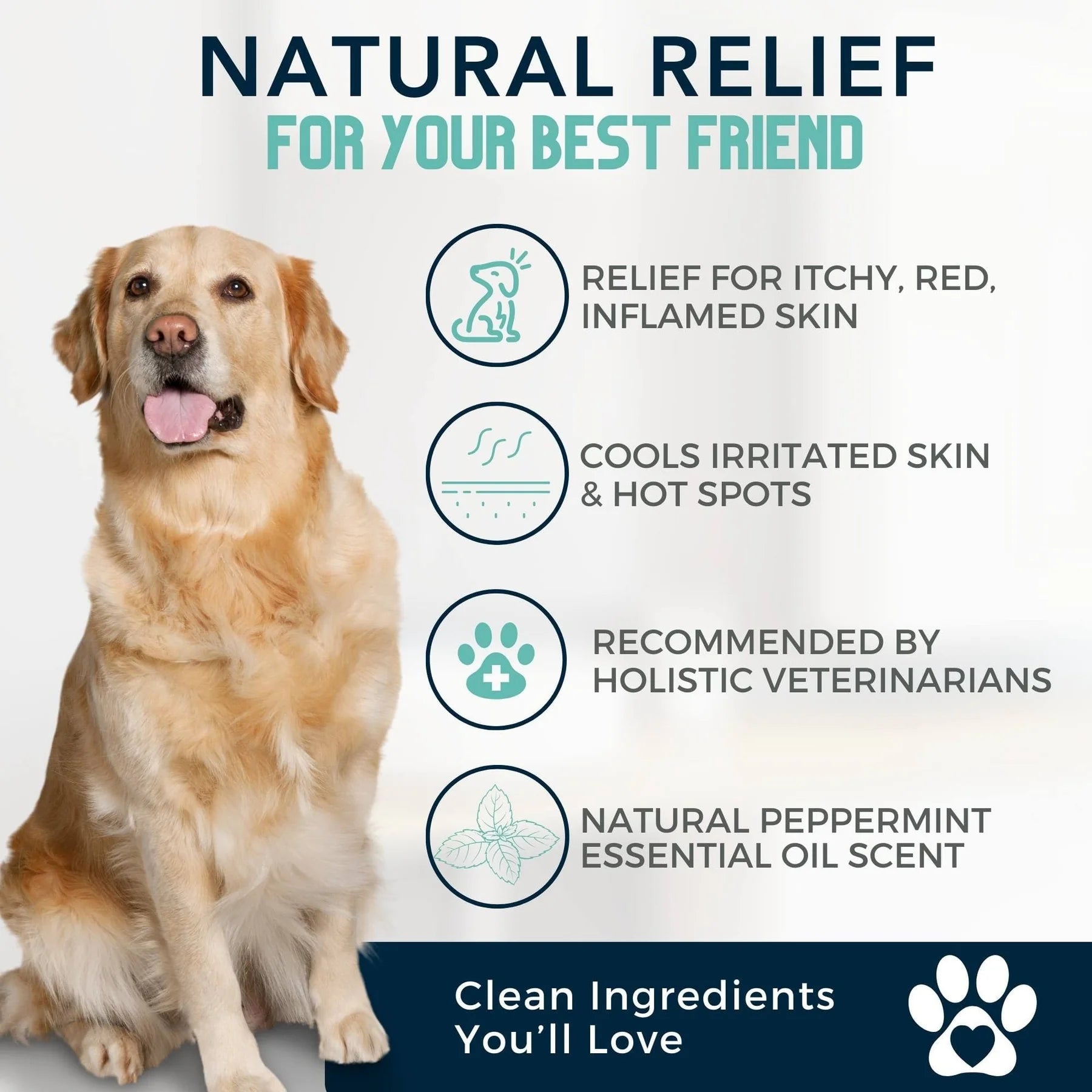 4-Legger Cooling Shampoo | Tea Tree Oil With Peppermint