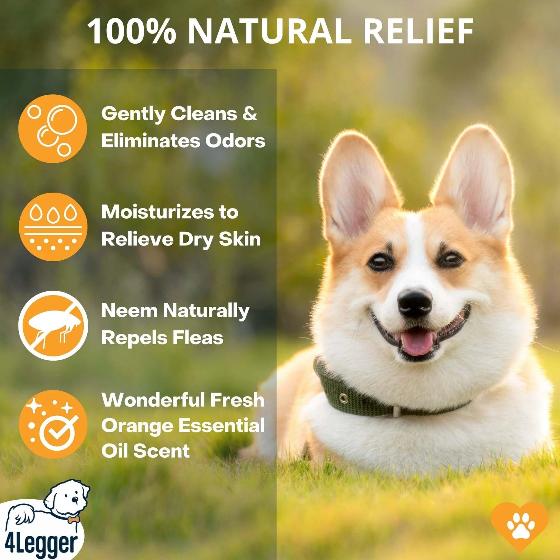 4-Legger Revitalize Shampoo | Neem With Sweet Orange Essential Oil