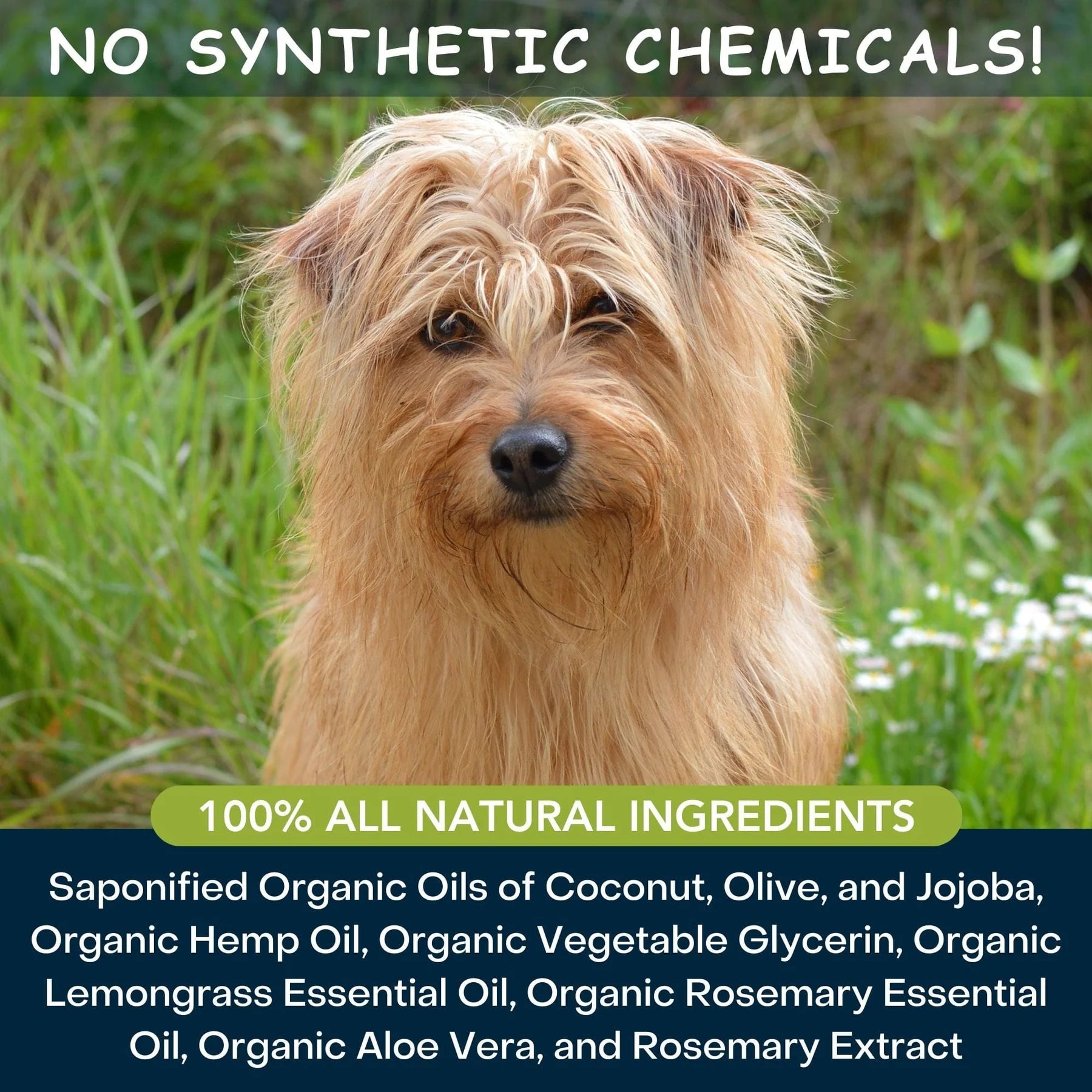 4-Legger Moisturize Shampoo | Hemp With Lemongrass