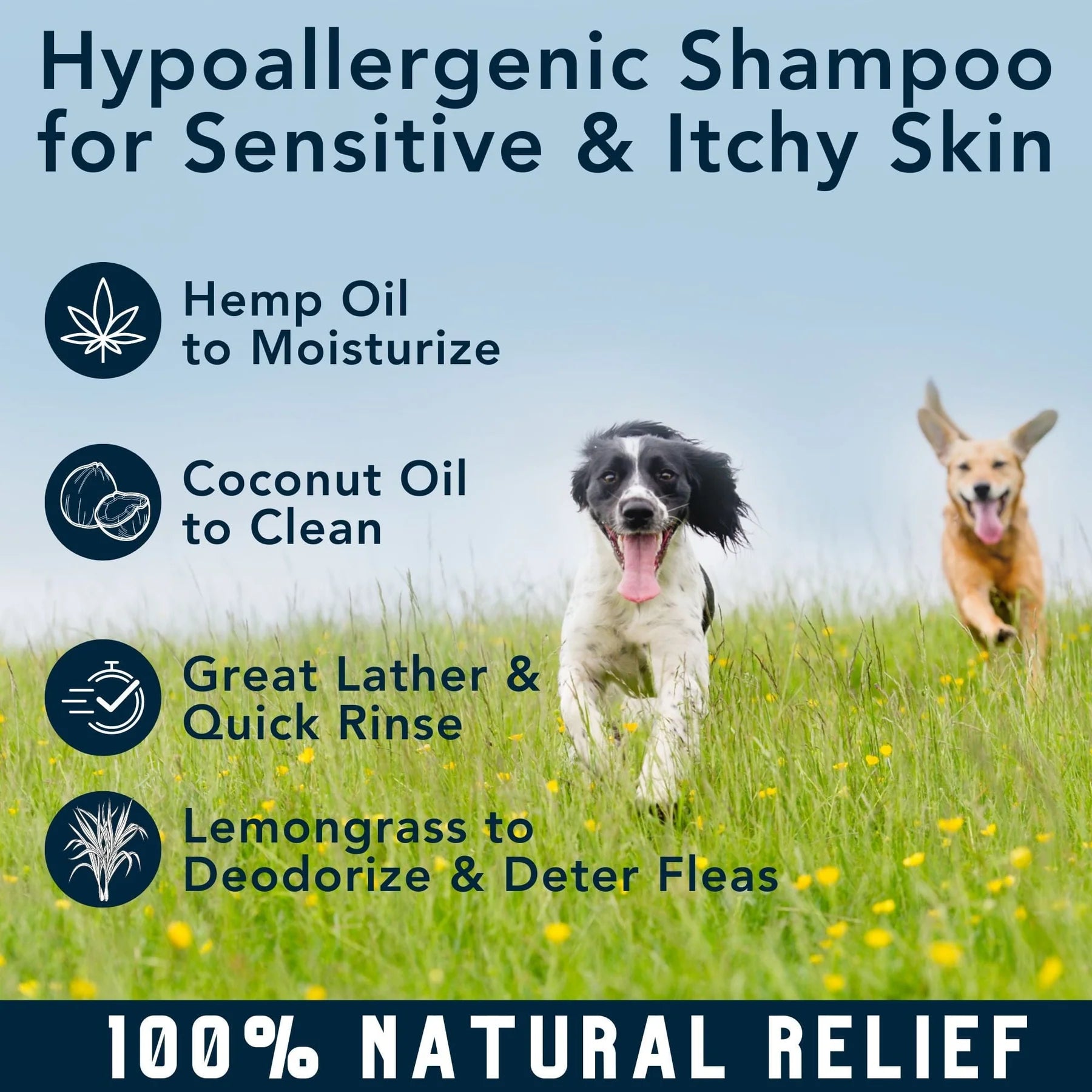 4-Legger Moisturize Shampoo | Hemp With Lemongrass