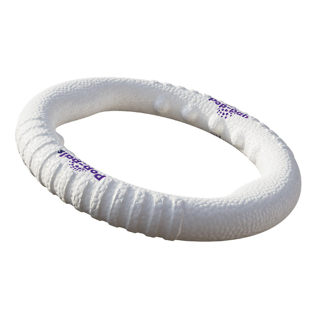 Pop-Pals Everlasting Flying Ring Toy