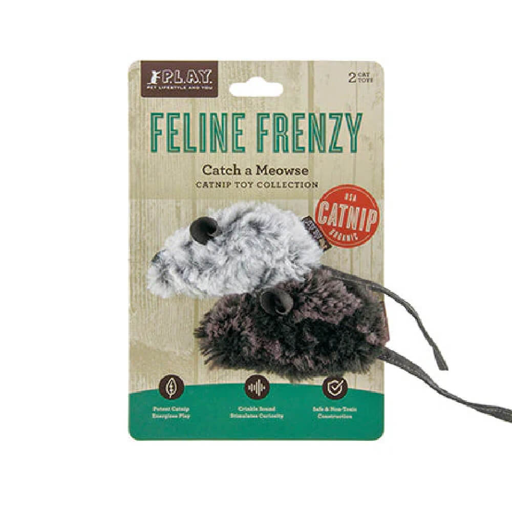PLAY Feline Frenzy | Catch A Meowse