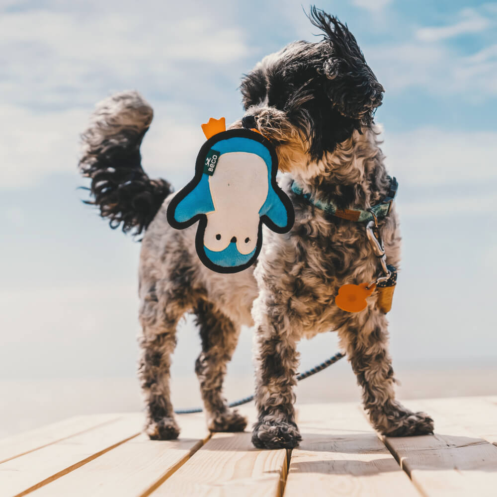 Beco Rough & Tough Recycled Toy | Penguin