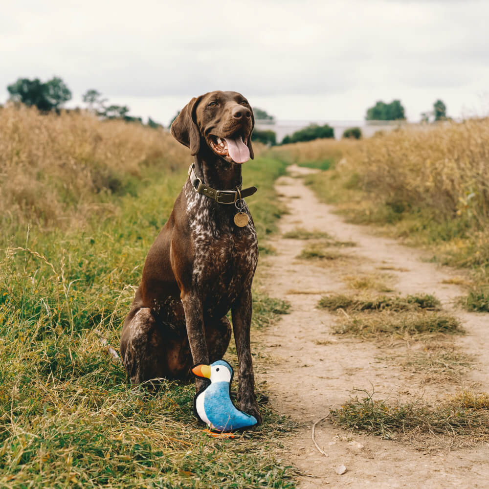 Beco Rough & Tough Recycled Toy | Puffin