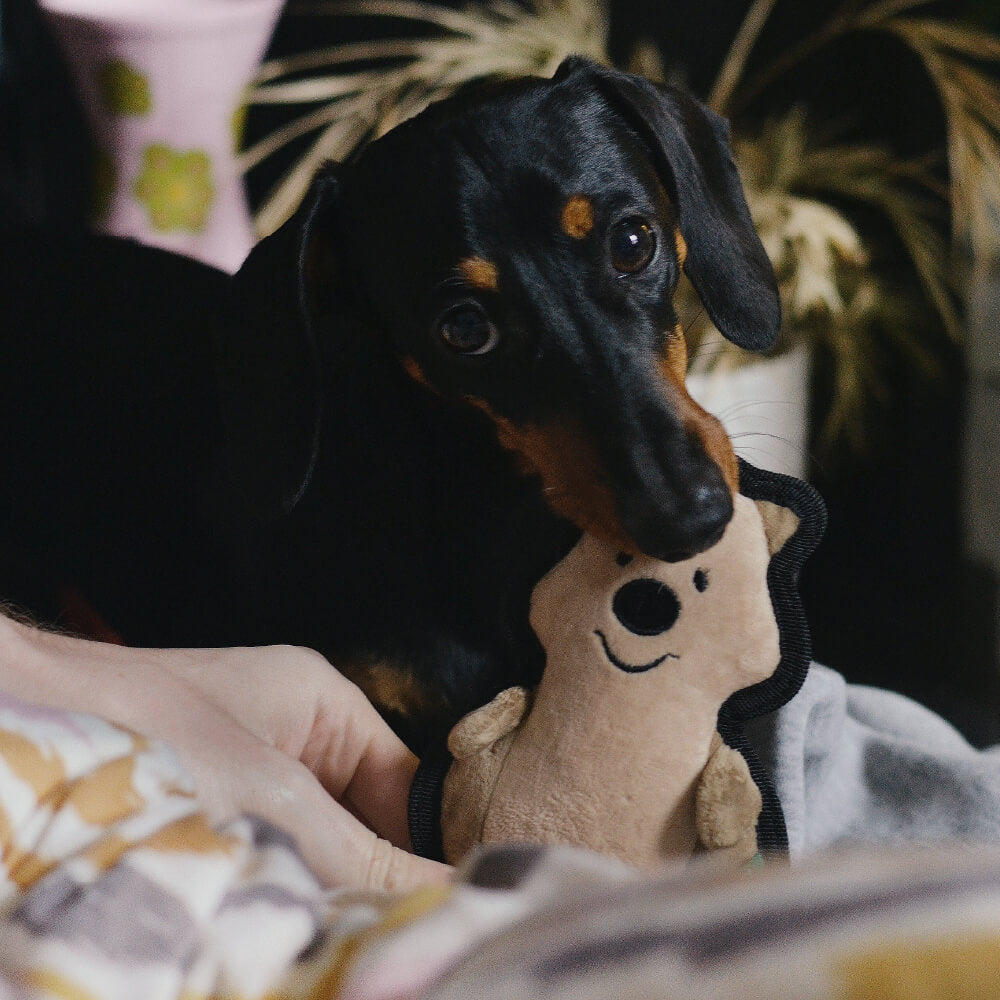 Beco Rough & Tough Recycled Toy | Quokka