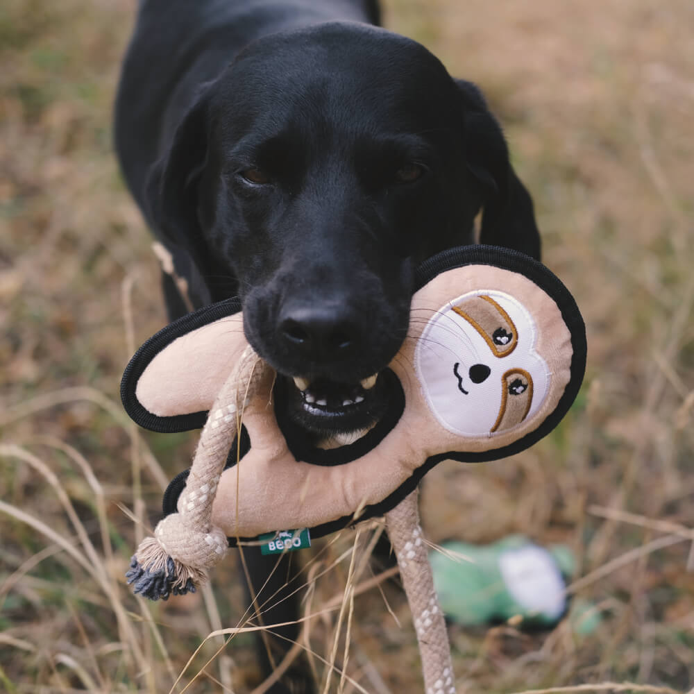 Beco Rough & Tough Recycled Toy | Sloth