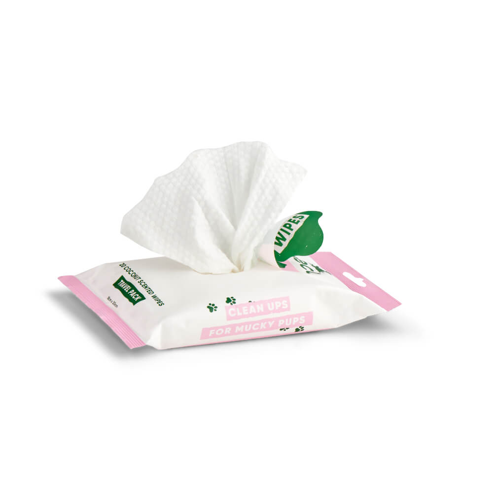 Beco Bamboo Travel Wipes, Coconut Scented, 20 Pack