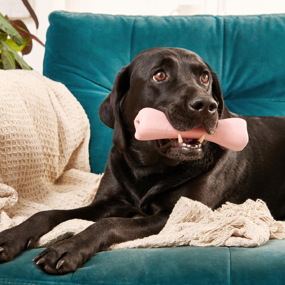 Beco Natural Rubber Treat Bone