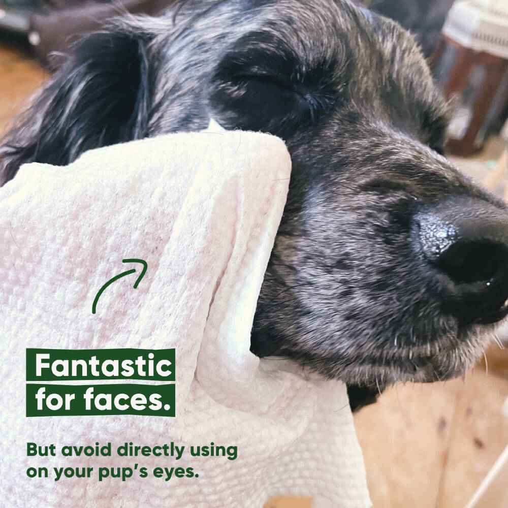 Beco Bamboo Dog Wipes, Unscented, 80 Pack
