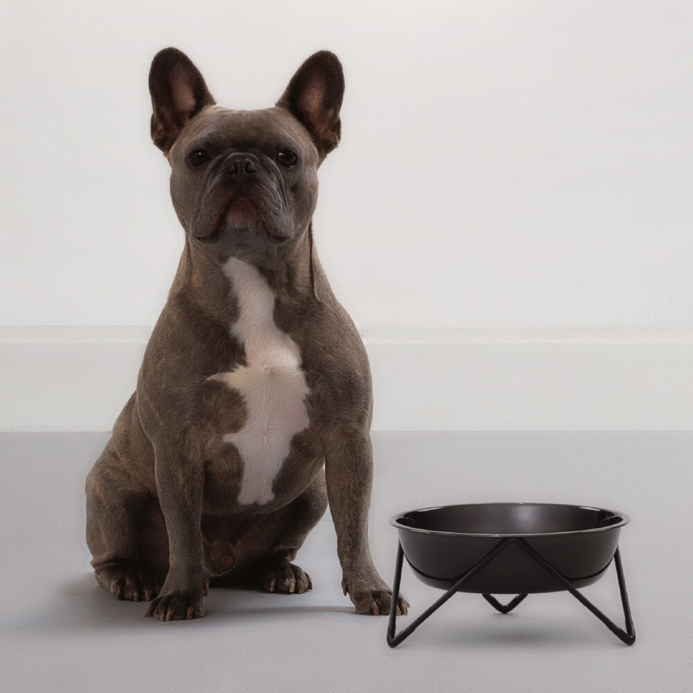 Bendo Pet Bowl | Copper & Black (2 Sizes)