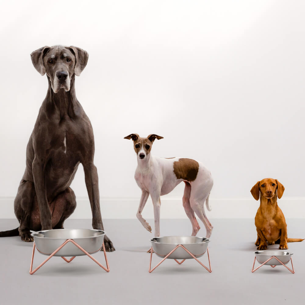 Bendo XL Pet Bowl | Chrome & Black