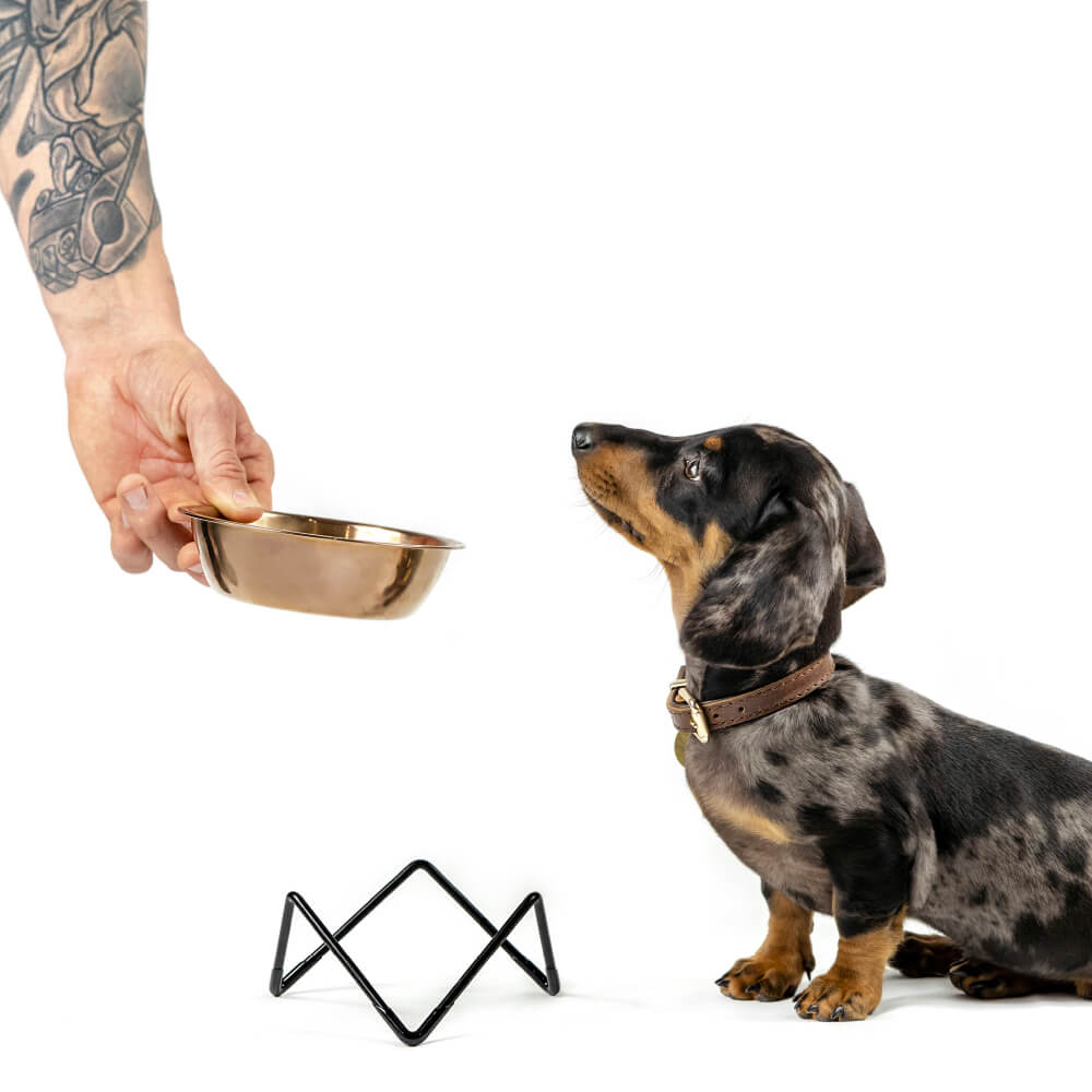 Bendo Large Pet Bowl | Black & Blush