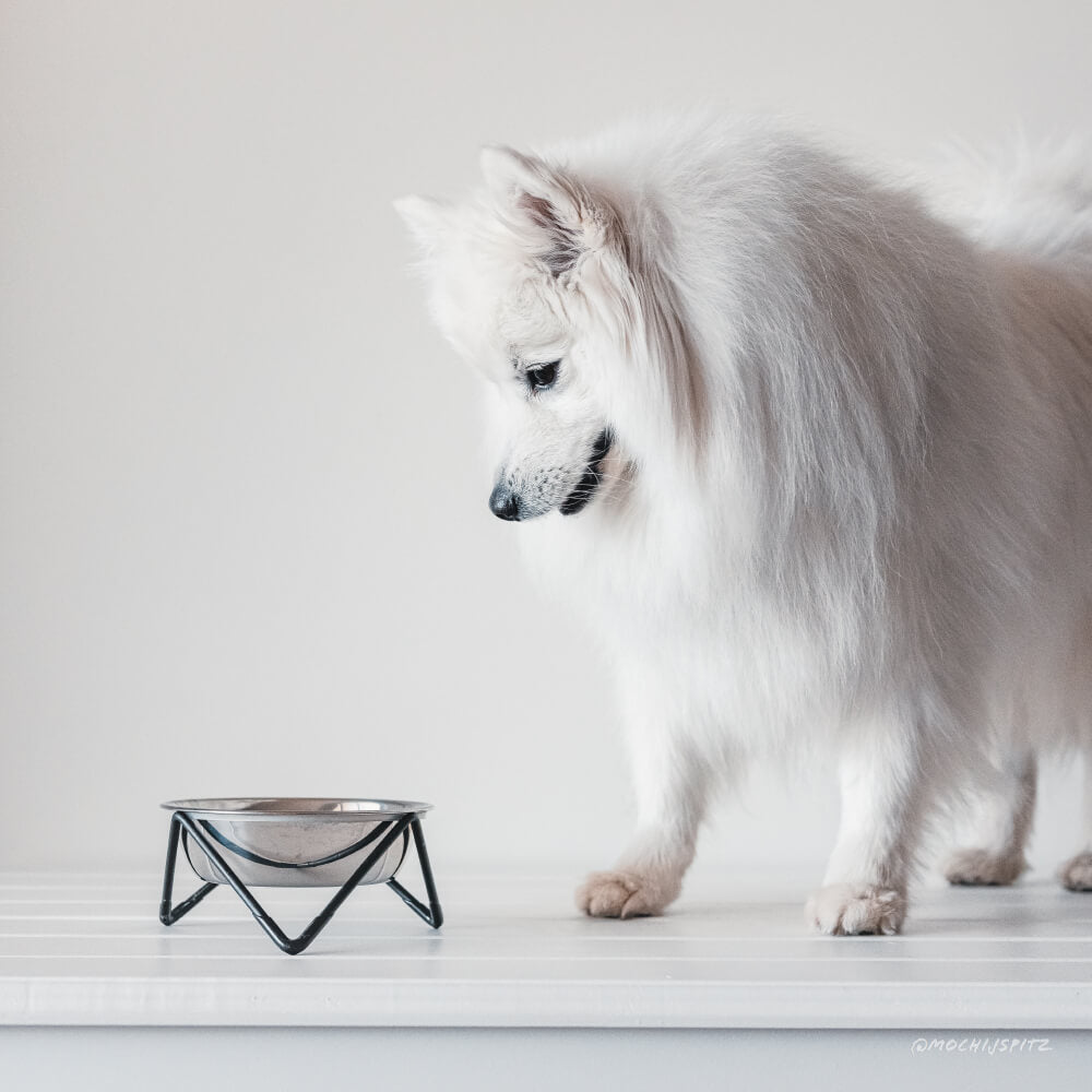 Bendo Large Pet Bowl | Copper & Blush