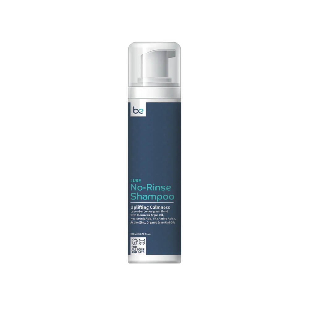 Beyond Clean Luxe No-Rinse Shampoo