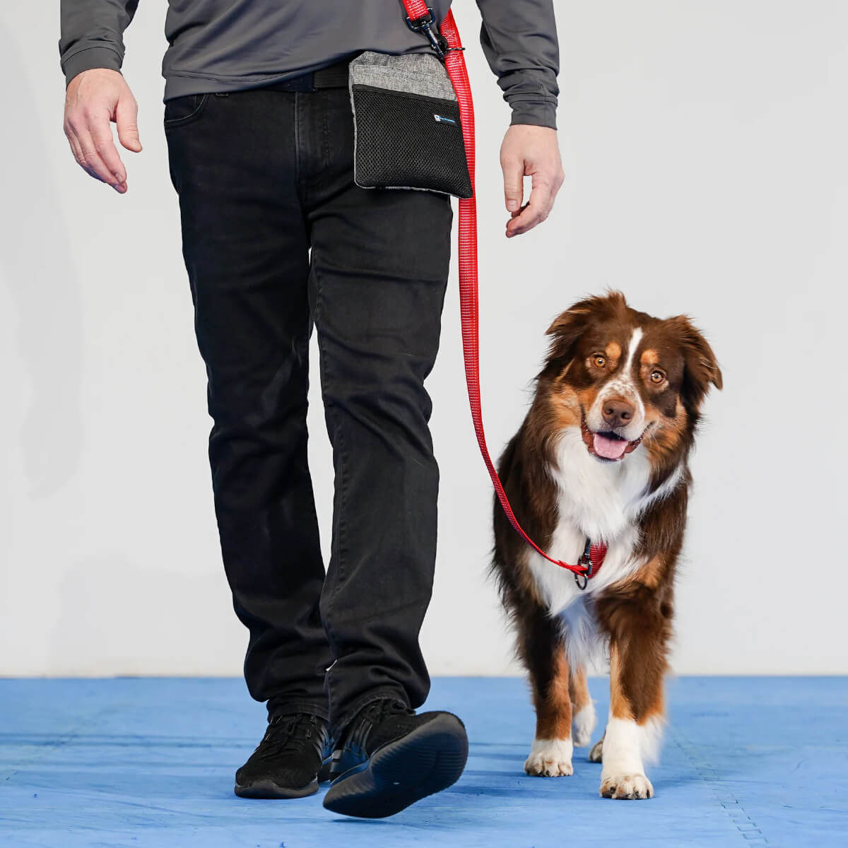 Blue-9 Reflective Multi-Function Leash