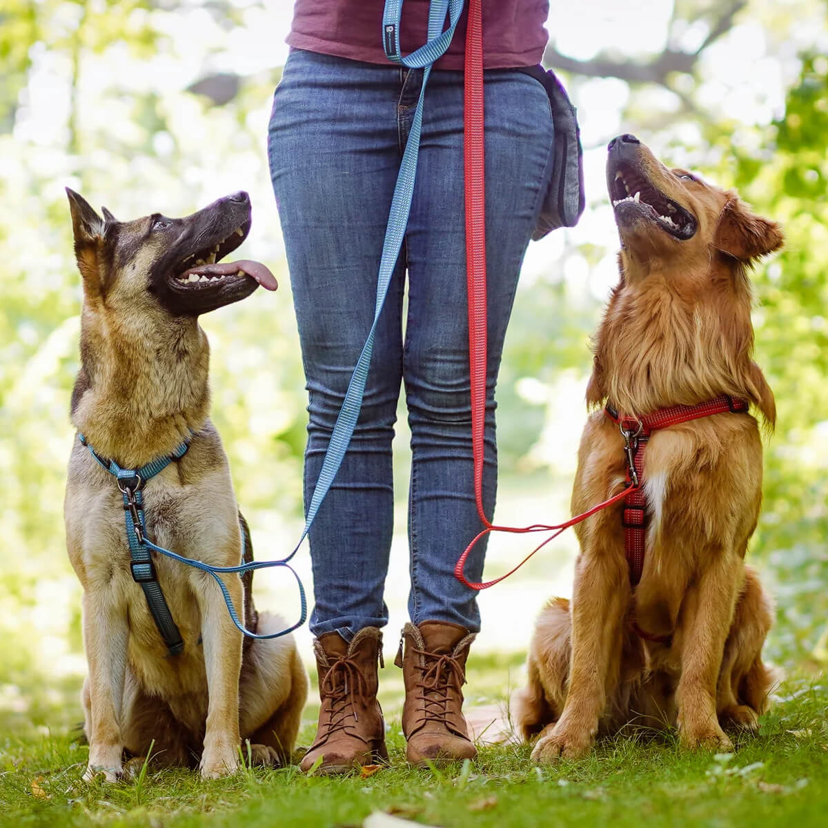Blue-9 Reflective Balance Harness
