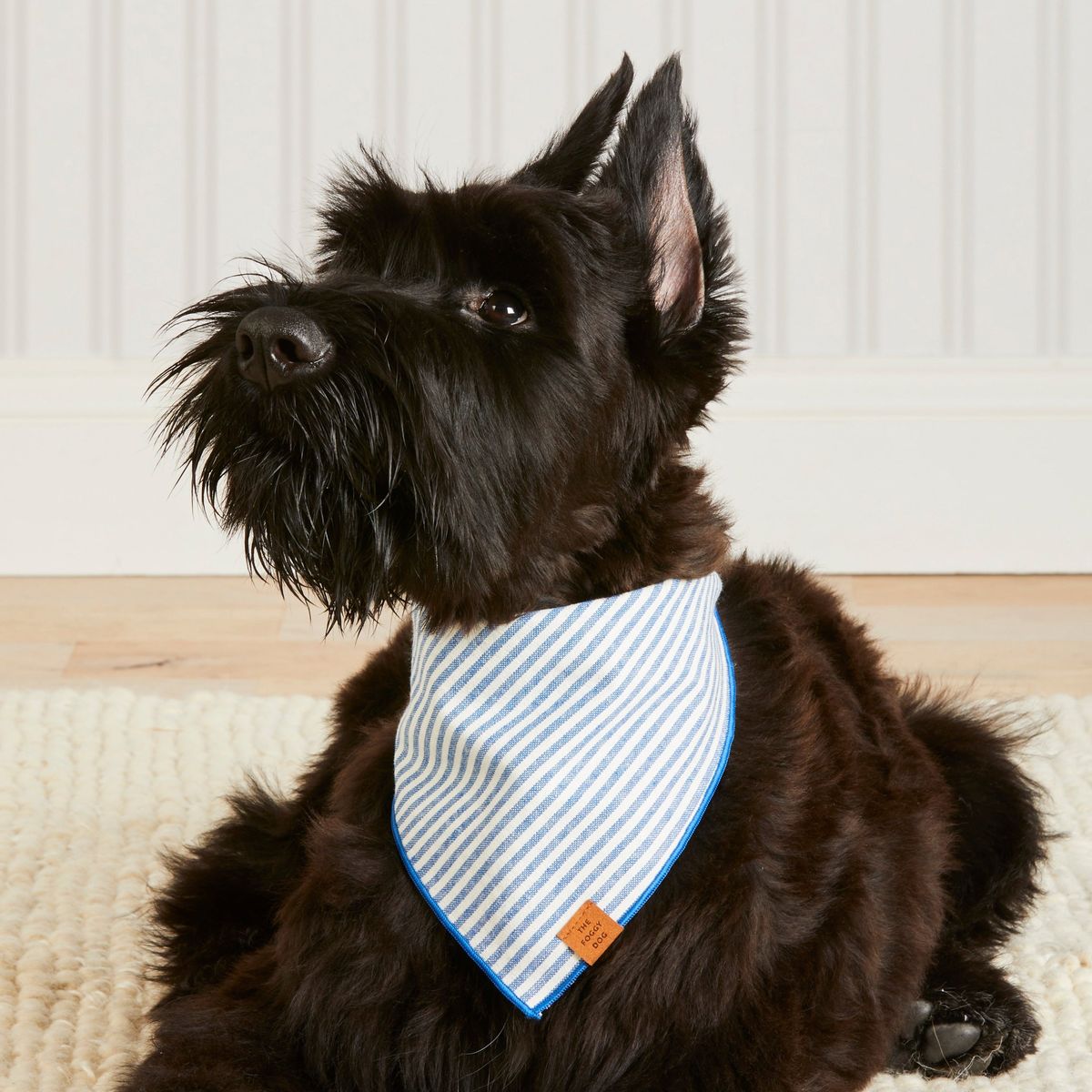 The Foggy Dog Lake Blue Stripe Bandana