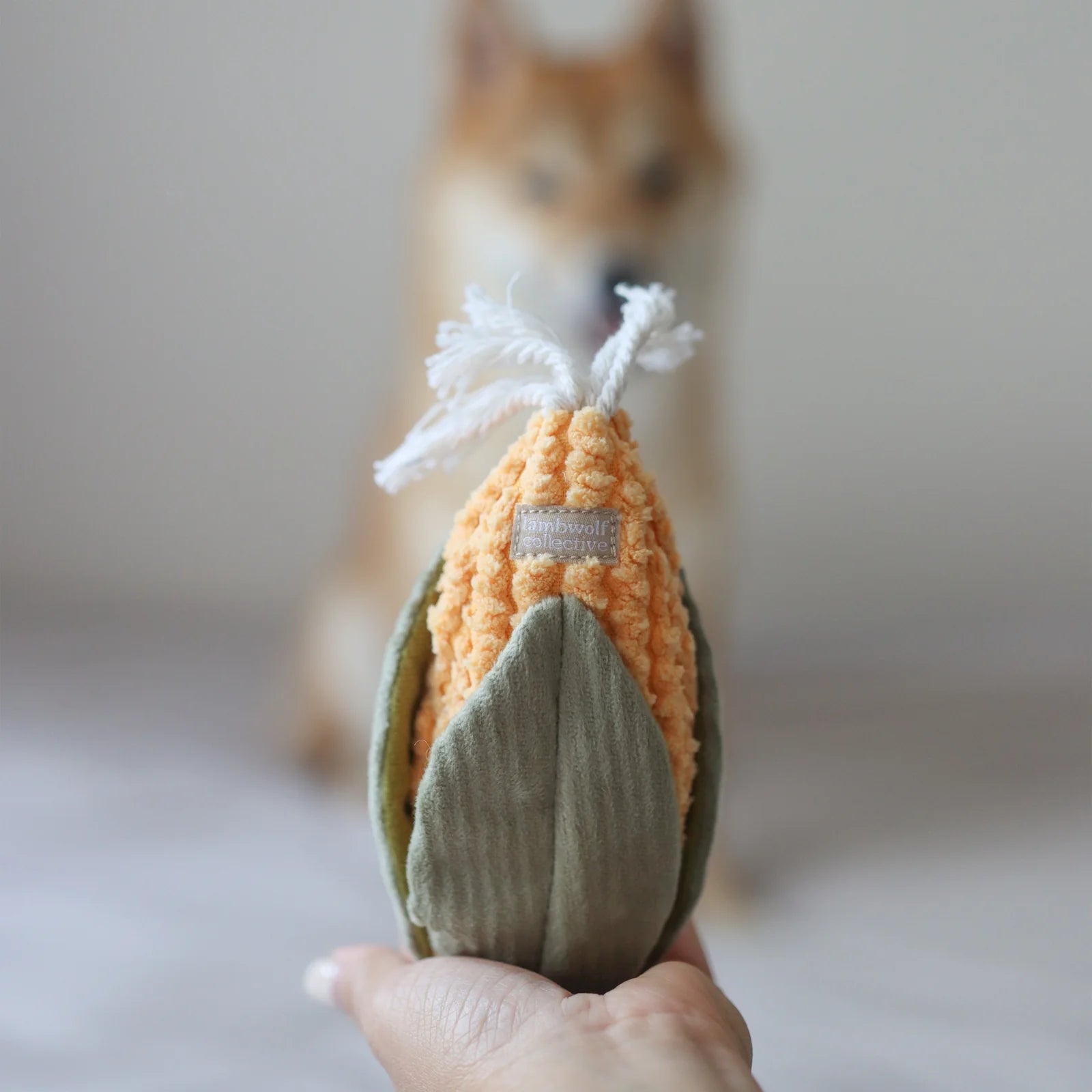 Lambwolf Leek & Corn Toy Set