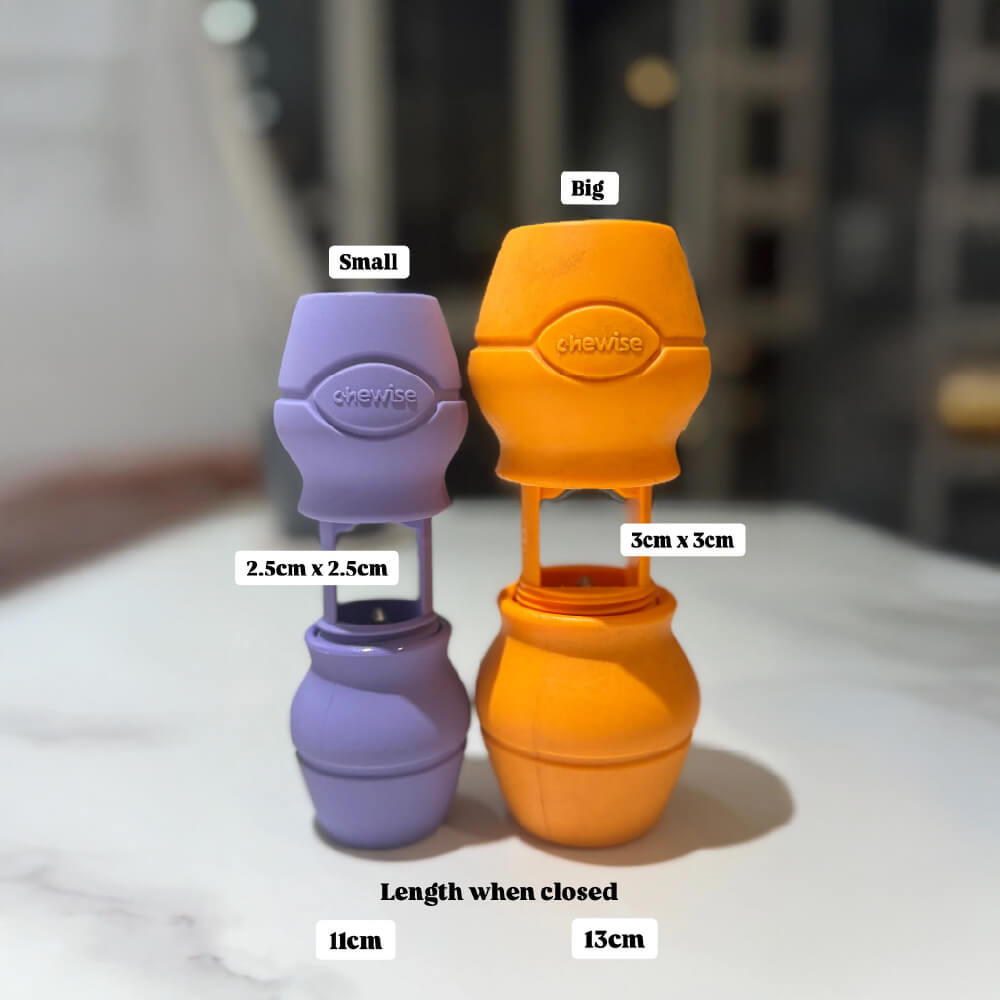 Chewise Dental Chew Holder