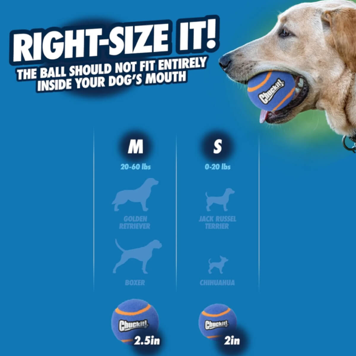 Chuckit! Squeaker Tennis Ball | 2 Pack