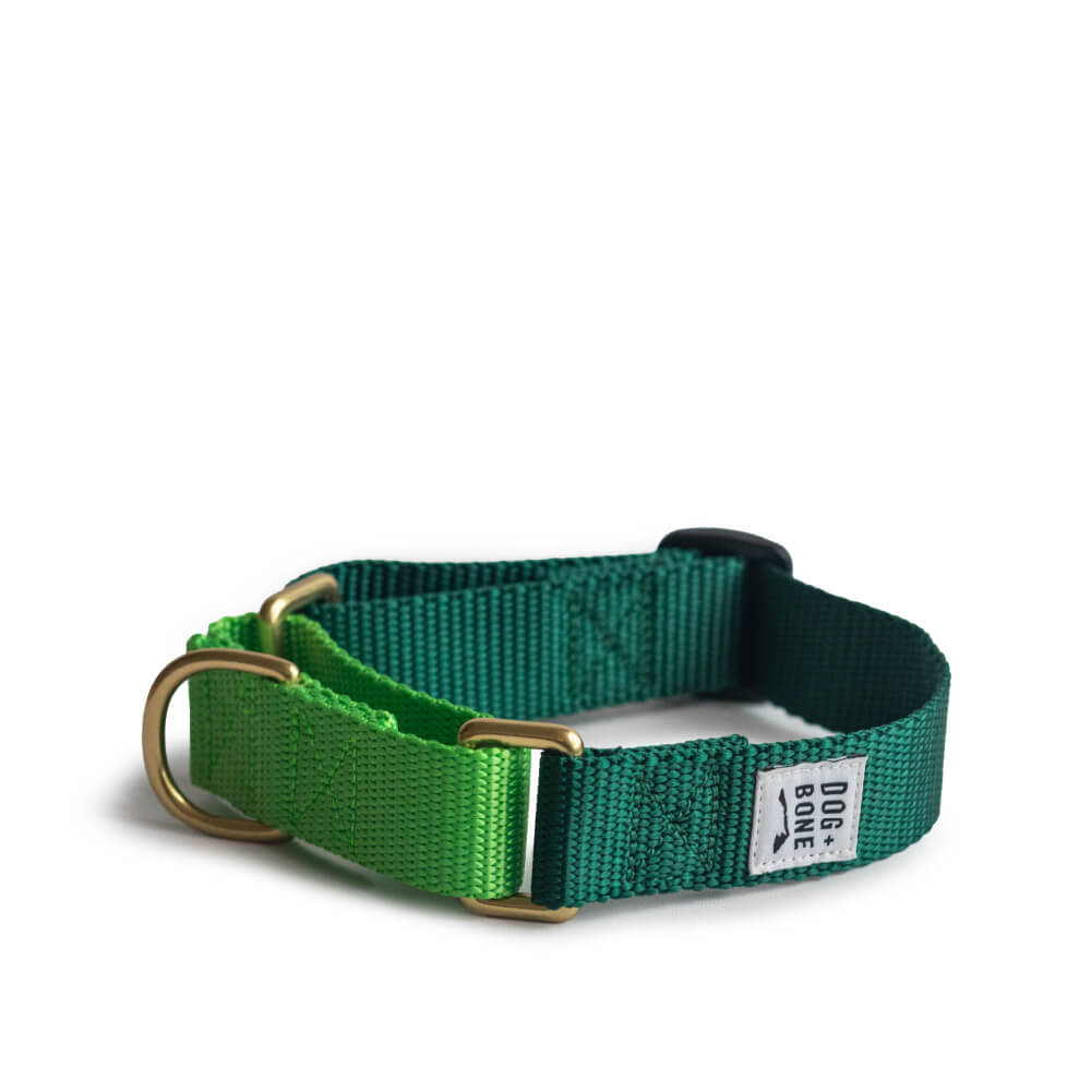 Dog + Bone Martingale Collar | Forest & Greenery
