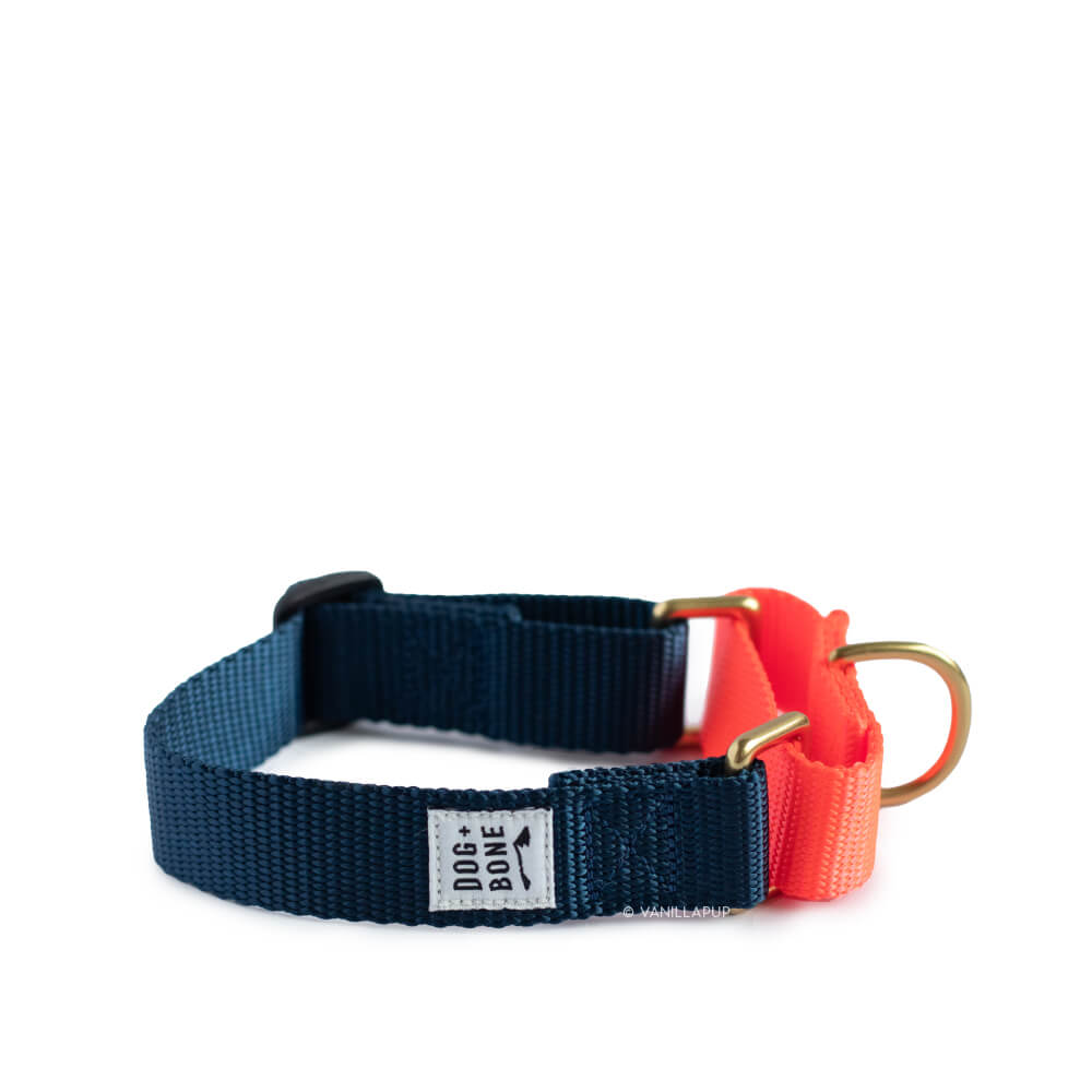 Dog + Bone Martingale Collar | Navy & Lava