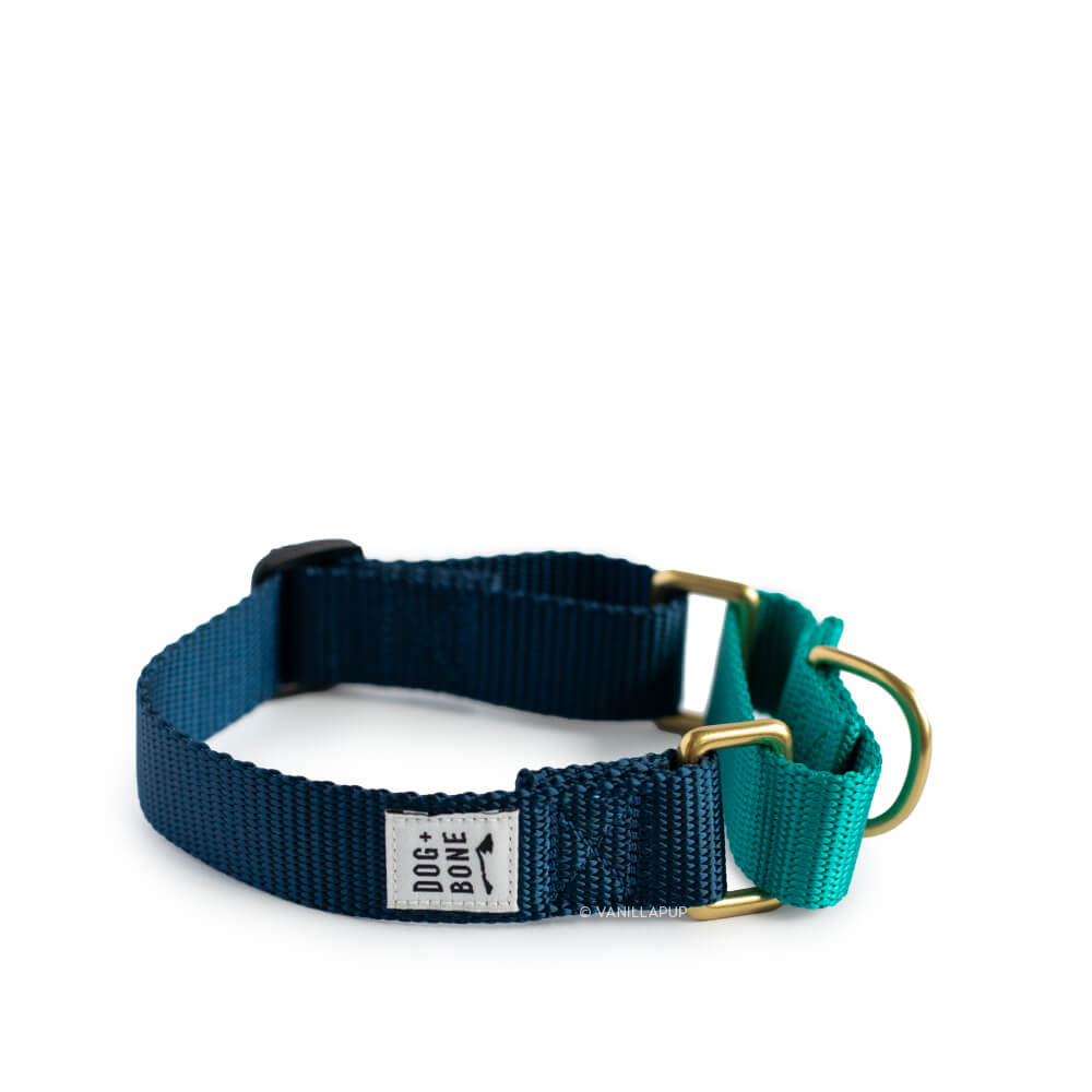 Dog + Bone Martingale Collar | Navy & Teal