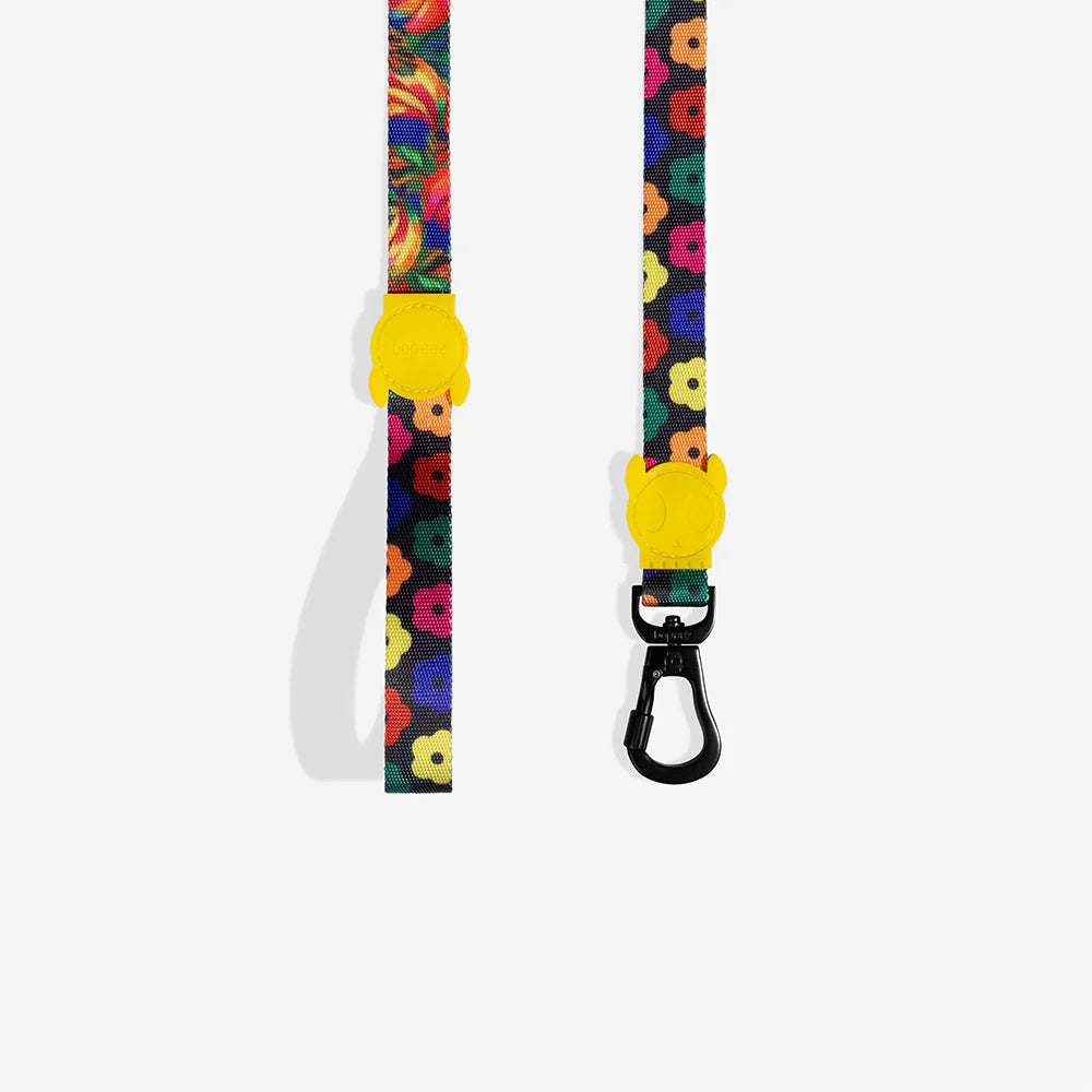 Zee.Dog Leash | Samba