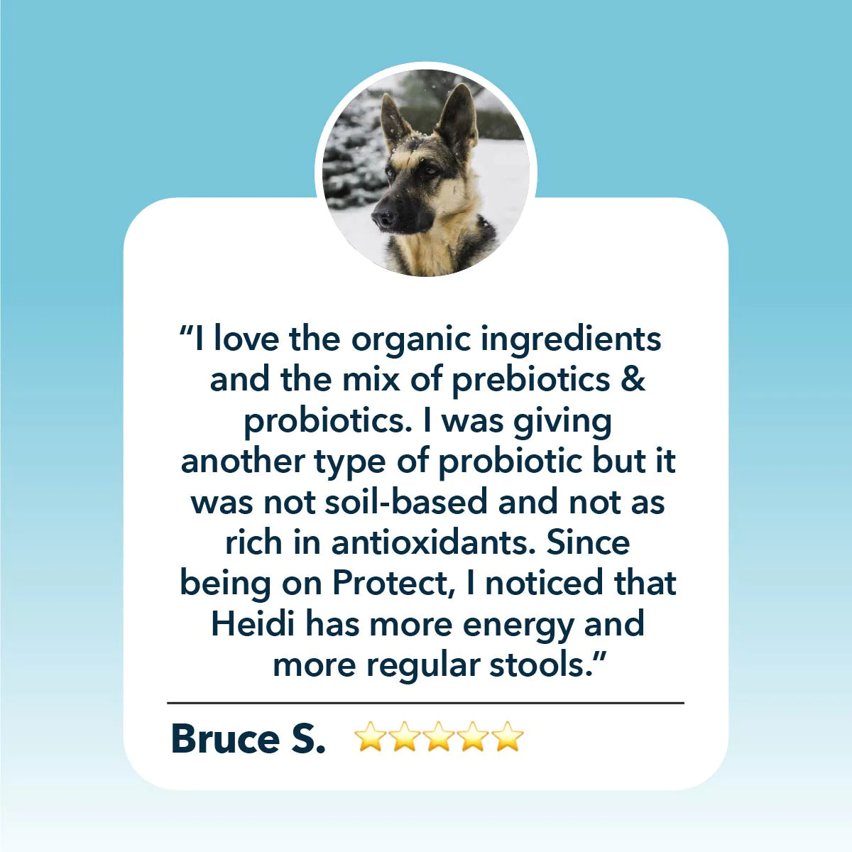Four Leaf Rover PROTECT | Soil Based Probiotics