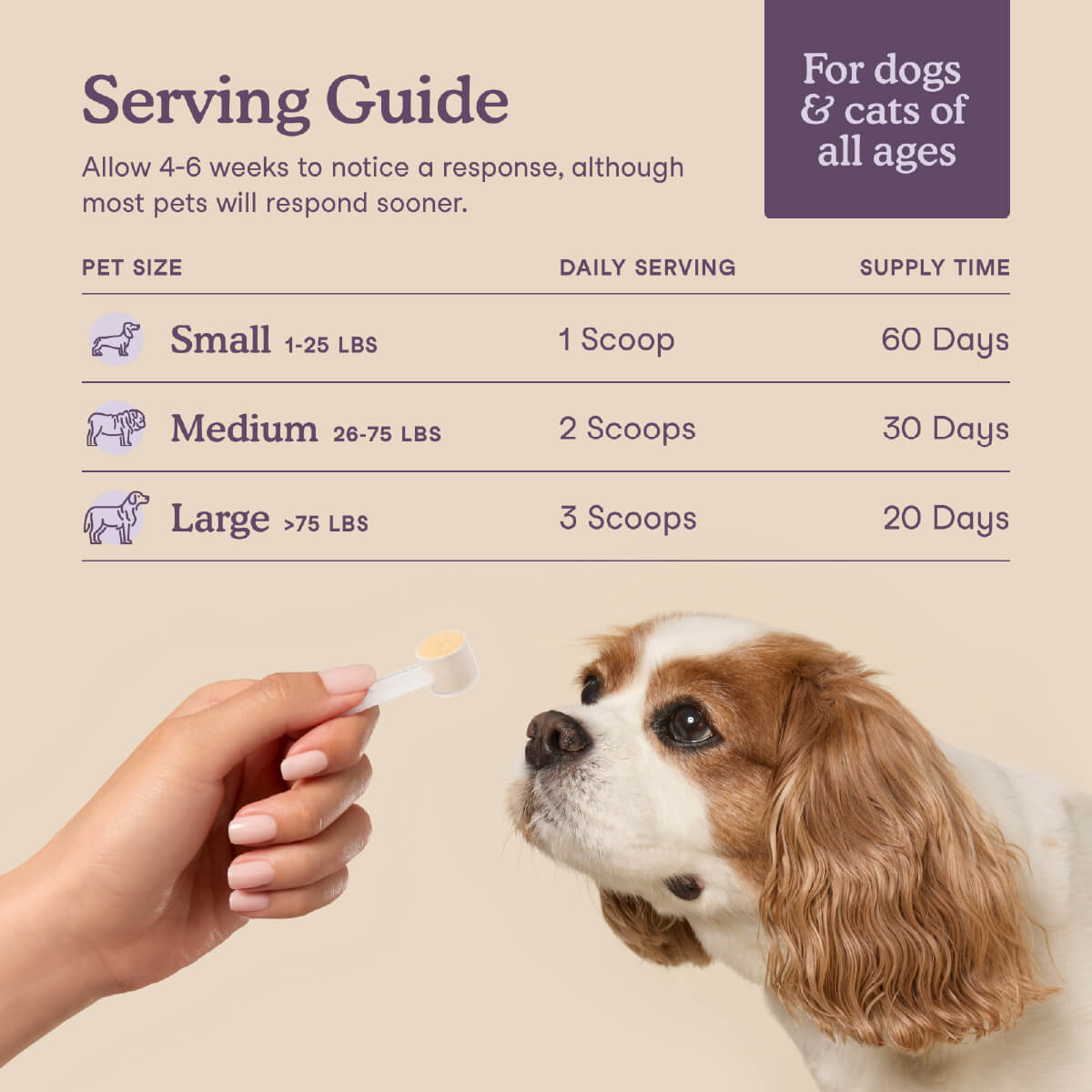 Fera Pets Calming Support for Dogs and Cats