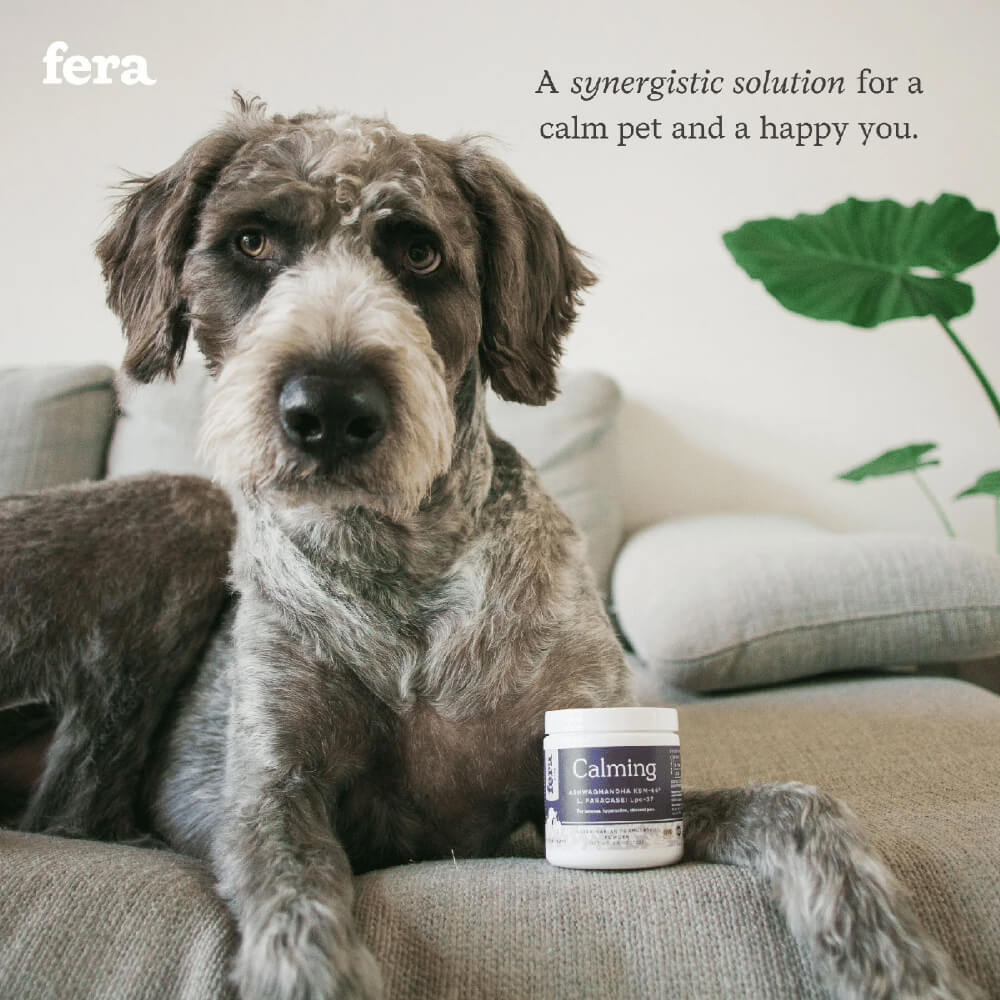 Fera Pets Calming Support for Dogs and Cats
