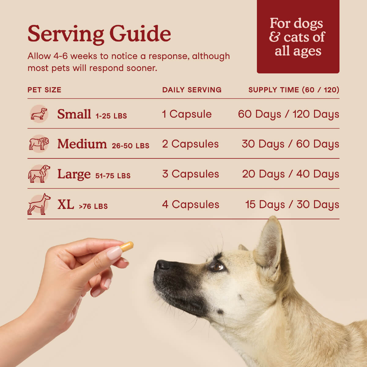 Fera Pets Cardiac Support for Dogs and Cats