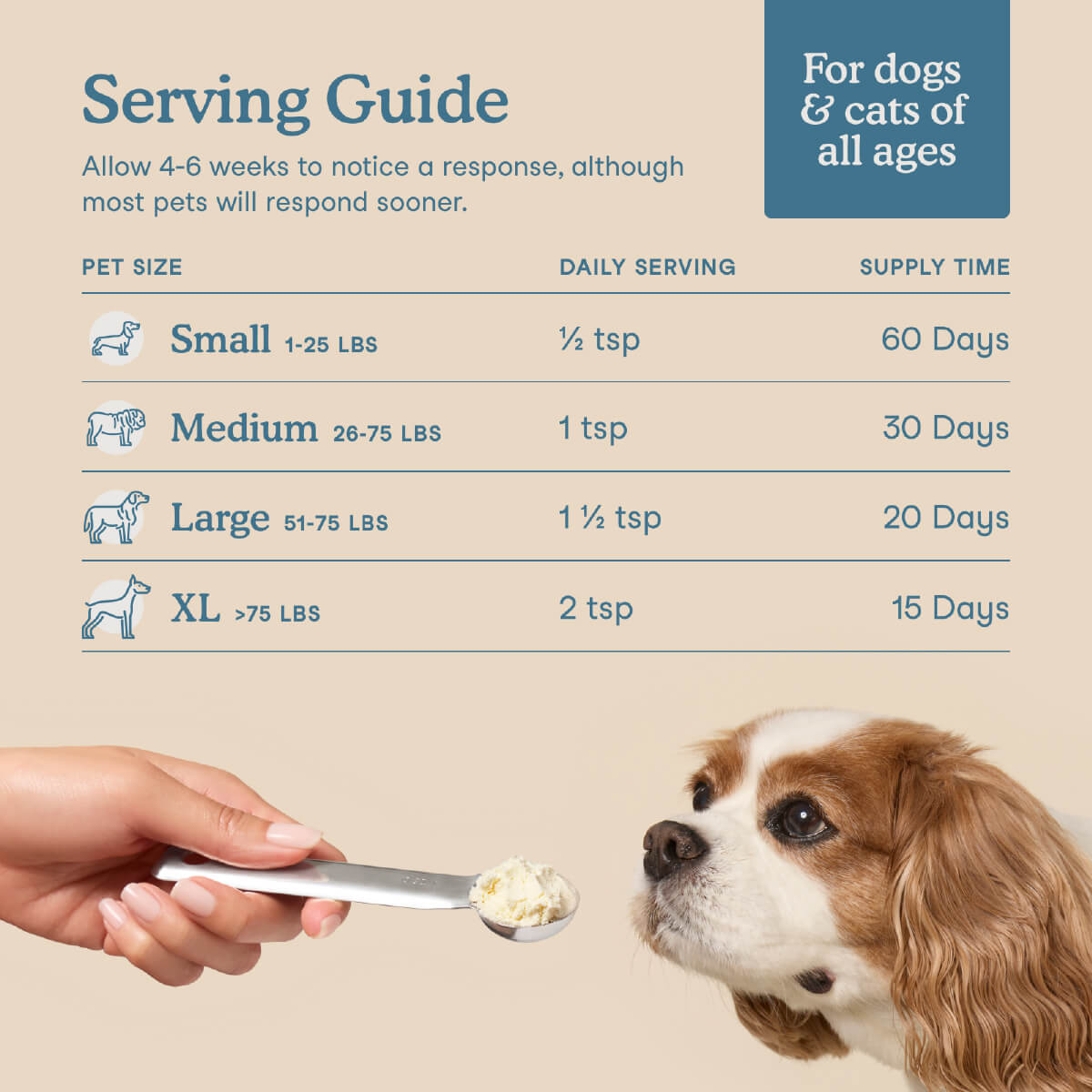 Fera Pets Collagen Plus for Cats and Dogs