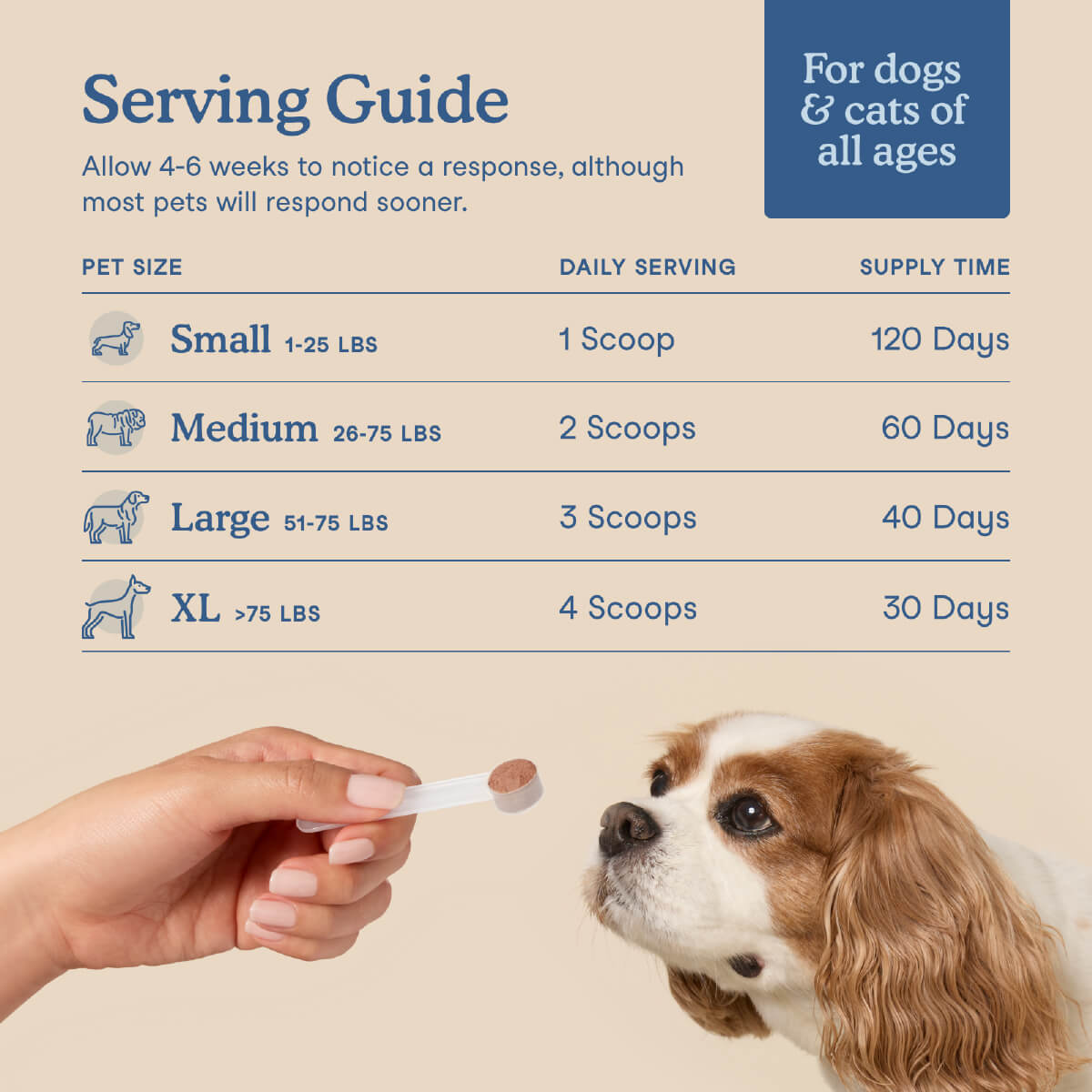 Fera Pets Postbiotics Plus for Dogs