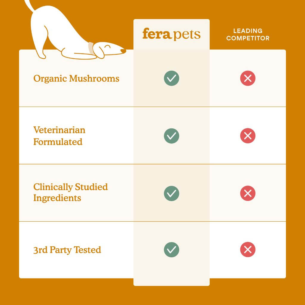 Comparison table between Fera Pets and leading competition