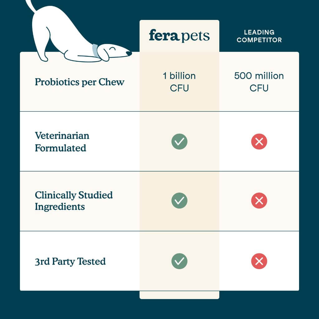 How Fera Pets Multivitamin Soft Chews compares with a leading competitor