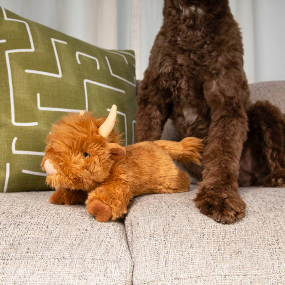 Fluff & Tuff Shaggy the Highland Cow